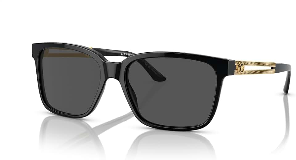 Versace Mens Sunglasses (VE4307) Acetate