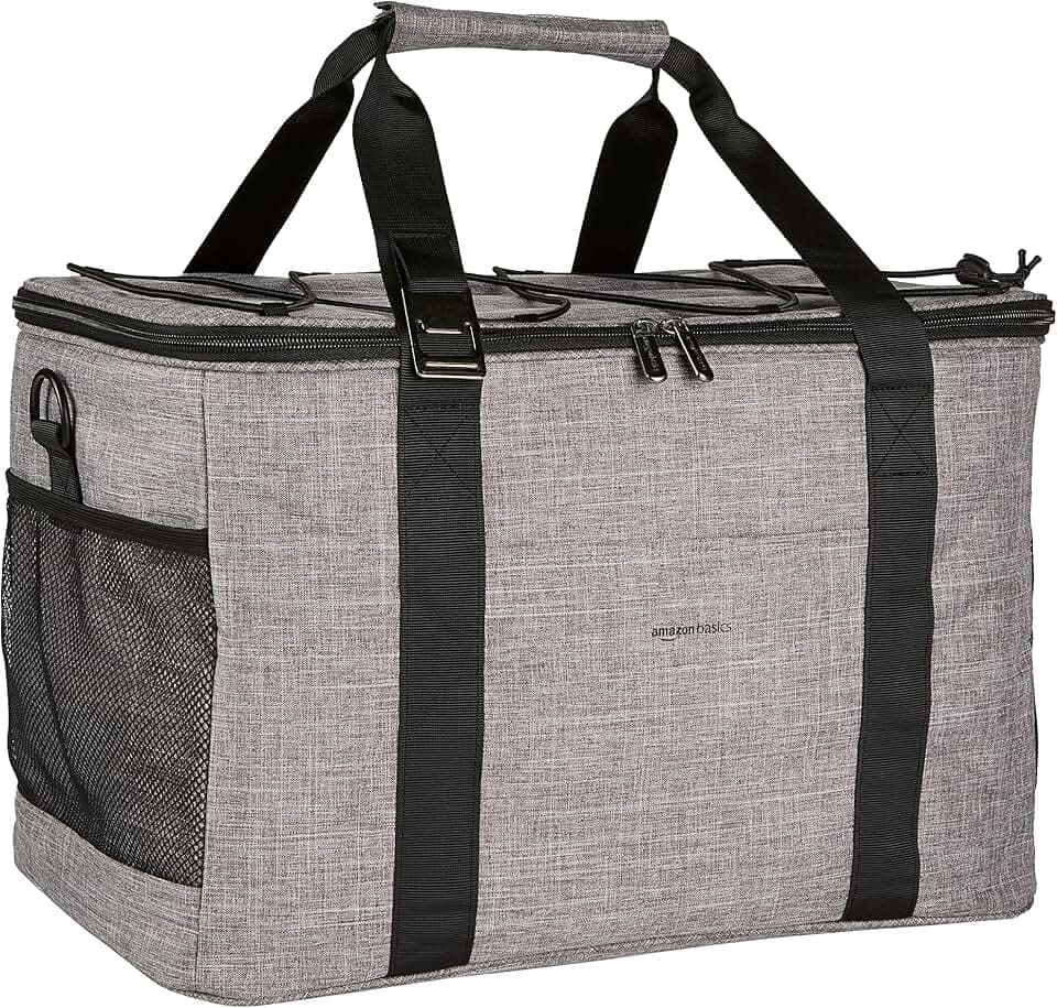 Amazon Basics Soft Insulated Cooler
